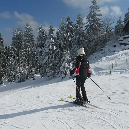 فندق Am Ochsenkopf 3*