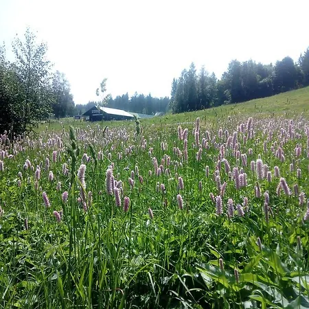 Am Ochsenkopf فندق Bischofsgrün