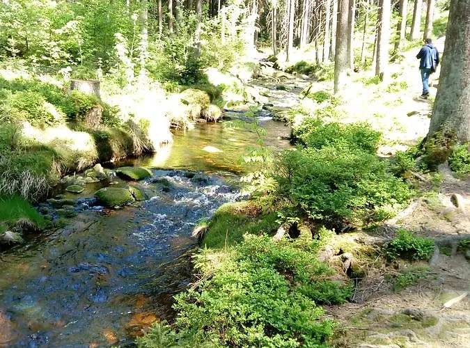 Hotel Am Ochsenkopf Bischofsgrün