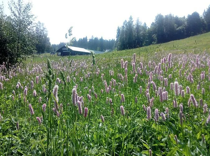 Am Ochsenkopf Hotel Bischofsgrün